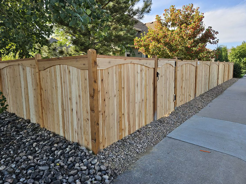 Cedar Privacy Fence - Sonrise NoCo - Fence Construction